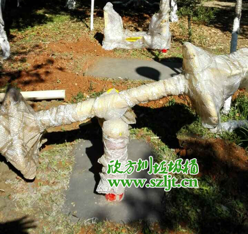 游樂設(shè)施器材