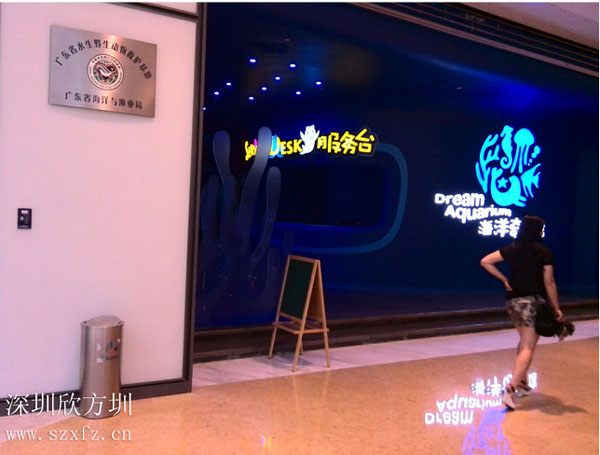 ���ښg��(l��)�����������(m��ng)�^ӆُ(g��u)���P�����Ͱ