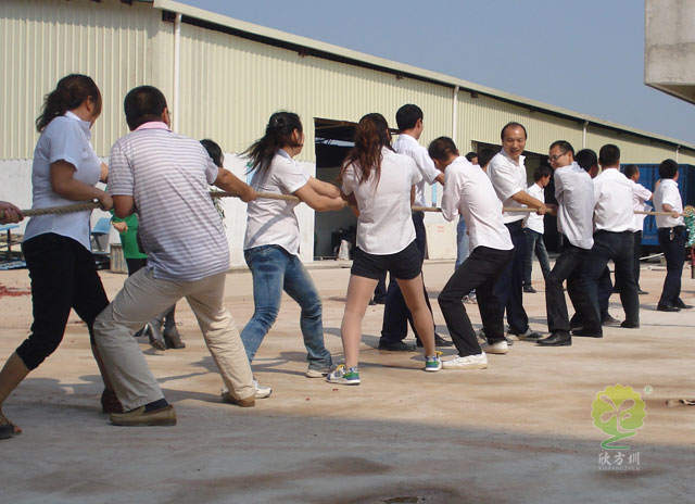 工廠拔河比賽實景圖